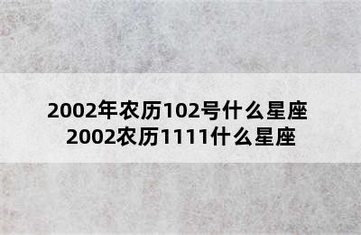 2002年农历102号什么星座 2002农历1111什么星座